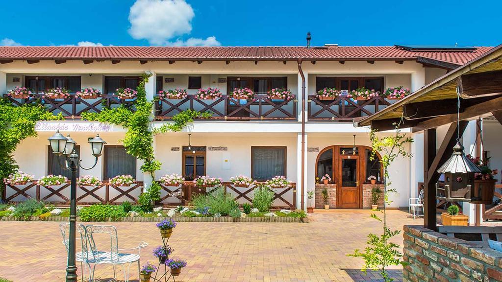 Lilaakac Vendeghaz Hotel Hosszupalyi Bagian luar foto